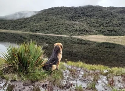 Un poco de mi vida cotidiana de theograbriel  3 Imagens