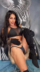 Public de ThalyaHotTrans  Imagens