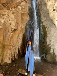 dumpling Public Kuva 6