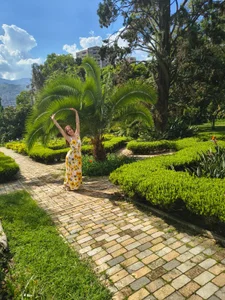 RoseWillssonのPublicの 8枚の写真