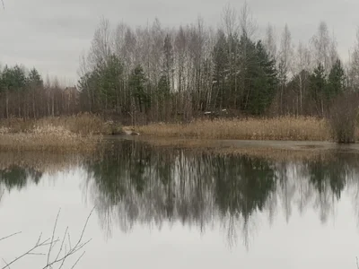 Alexa_Cosmic November 2024 Pic 4