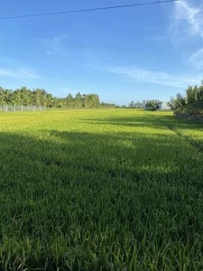 Ly_Chuppy Public Foto 2