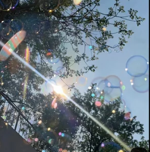 Chichi_86 Public Hình