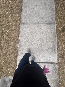 shurthingx Public Immagine  5