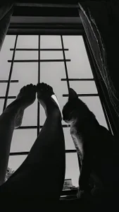 azzahara069 (⁠✿⁠ ⁠♡⁠‿⁠♡⁠)Cute feet Pic 2