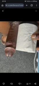 BoldGiggle-stick My dick Pic