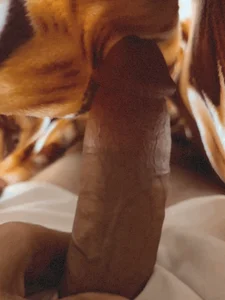 hamed-697 Public Pic 3