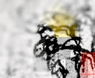 Public de Alleinzuhause  2 Imagens