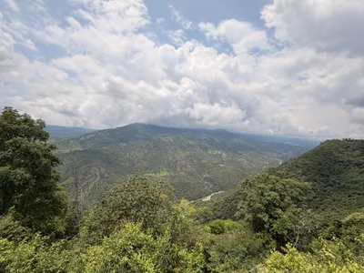 ahri_moon1 Sunny day☀️ Pic 7