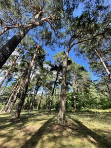 Haariglang kullanıcısının Meine Freizeit nur landschaftlich albümü -  9 fotoğraf