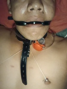 SumipirsitosのPublicの 4枚の写真