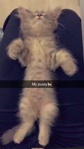 badass_girl7 Public Pic 4