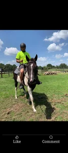 Public de Buffshagswell  2 Imagens