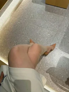 yue-ai Public Pic 5