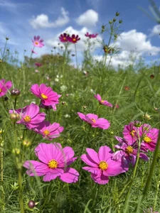 xxoLENAoxx expo a Osaka Foto 2