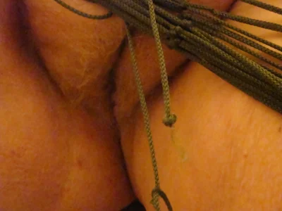 THEFOXNROSE Public Εικόνα 3