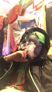 Meh de chefrichierich Foto 2