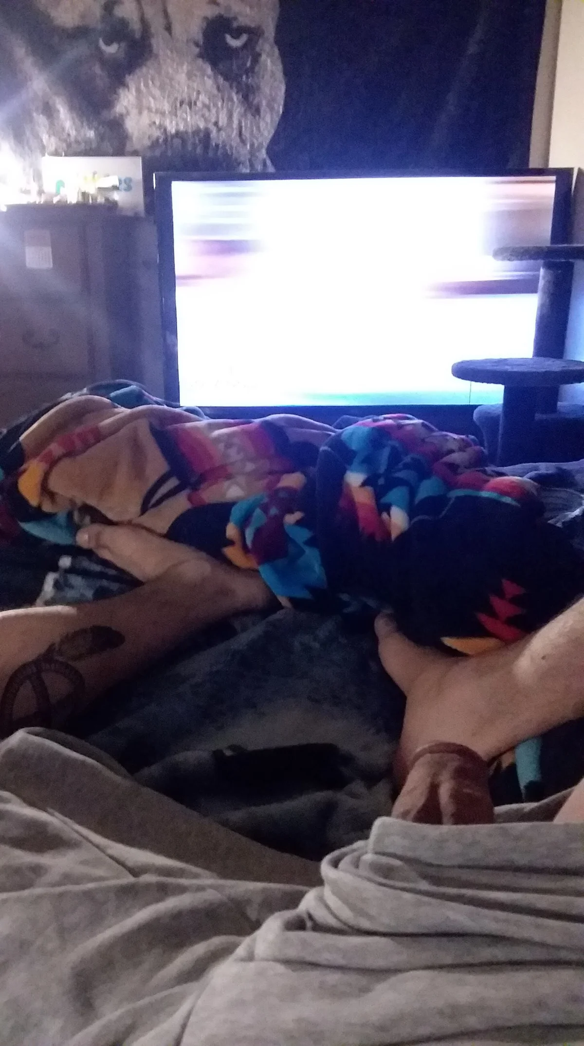 NiceNativeOne2026  5618. kiemelt képe