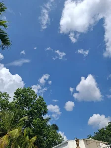 ashley-17 Vacations 사진 5