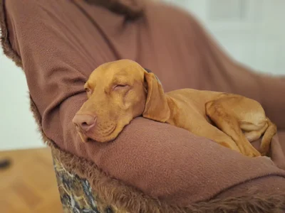 Public de Vasember11@xh  Imagens