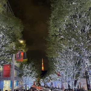 Public de ms_sui  3 Imagens