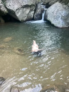 amelialeen7 In the middle of nature 🍂🌿🌳 Immagine  3