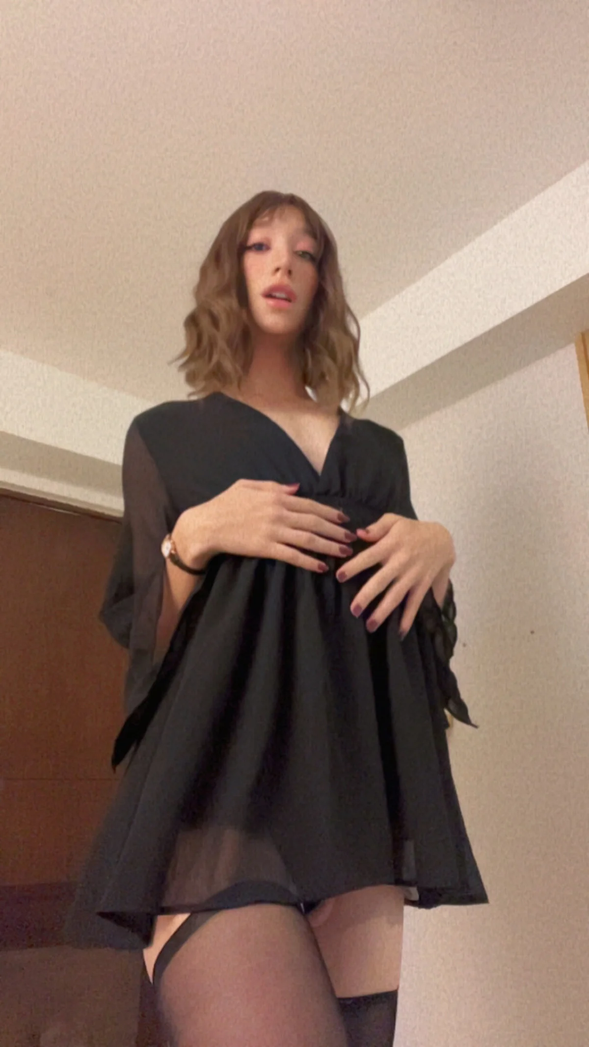 Aria_montgomeri Δημοφιλής εικόνα 8490