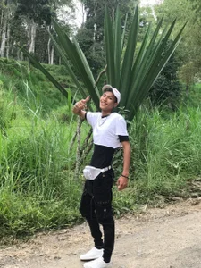 walk de daxonrey  4 Imagens