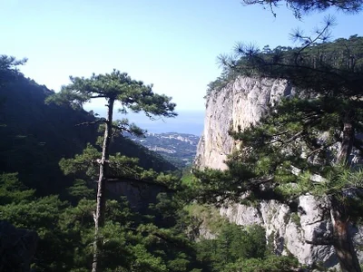 Anita-Smith 🤗☀️ Foto