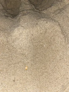 Public de HenriqueH3  3 photos