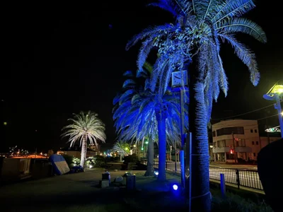 Senzuri_kun night view of orange beach (オレンジビーチ夜景) Immagine  3