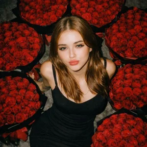 wtffox Public Bilde 2