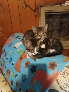 rainbow9028 About me Εικόνα 6