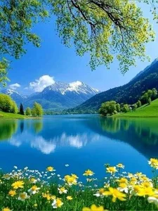 Public de kazuia8  5 Imagens