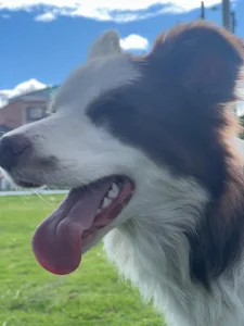 Trinity___s Public Pic