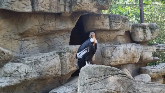 Ivanna_Diamon Zoo! i love it 😍 Hình 2