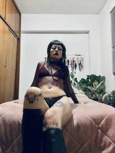 ELENA_UMBRAの:*の 5枚の写真