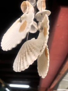 Zdjęcia roseofvenom Public:  5