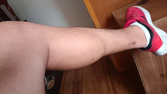 OsoBearColombia Public Foto 2