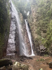 Belleza_Salvaje Nature with wild beauty😍🍃🌲 Pic 5