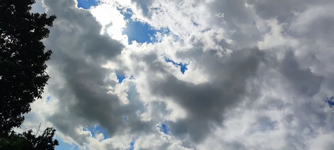 Alex_Sweeting kullanıcısının Out for a stroll albümü -  4 fotoğraf