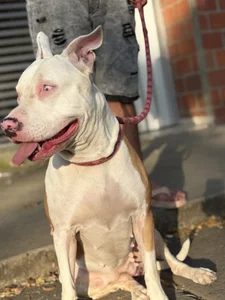 Lherzamxx🫣❤️ Bild 4