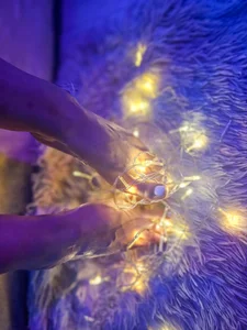 JainaRogers Nice🎁 Bilde 4