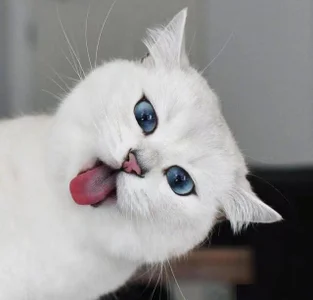 summer_11Public图片 3