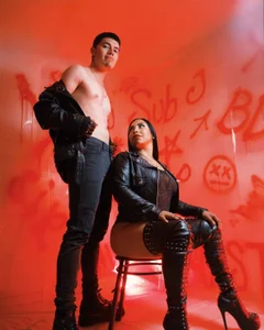Motorized BDSM
