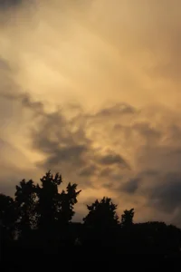 byanabrown Magic Sunset in the city Pic 3