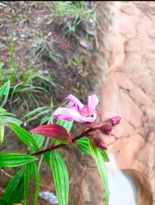 Mọi thứ quanh ta đều có gì vẻ đẹp riêng của nó. Chỉ là do cách ta nhìn và cảm nhận