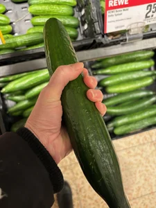 Goetterhuhn kullanıcısının Daily Life 🌹 albümü -  8 fotoğraf