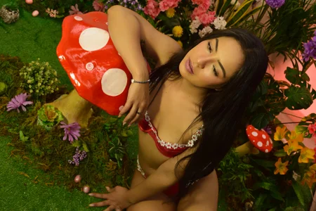 Sofia_Clauss_ fairy garden 🪴 🧚‍♀️ 圖片 6