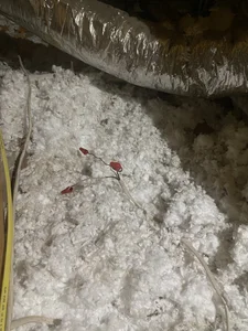 rock-hard-fun Public Pic 2